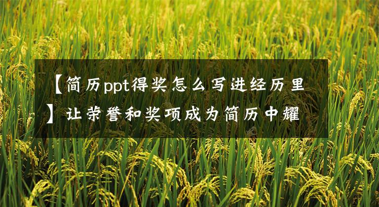 【简历ppt得奖怎么写进经历里】让荣誉和奖项成为简历中耀眼的亮点！