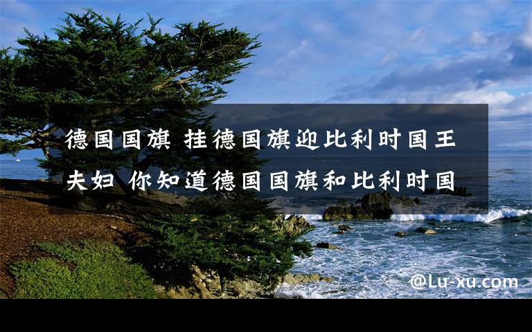 德国国旗 挂德国旗迎比利时国王夫妇 你知道德国国旗和比利时国旗的区别吗