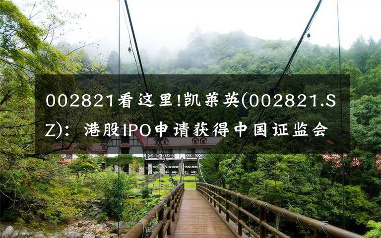 002821看这里!凯莱英(002821.SZ)：港股IPO申请获得中国证监会批复
