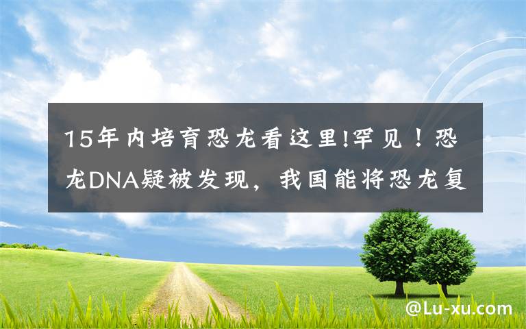 15年内培育恐龙看这里!罕见！恐龙DNA疑被发现，我国能将恐龙复活吗？