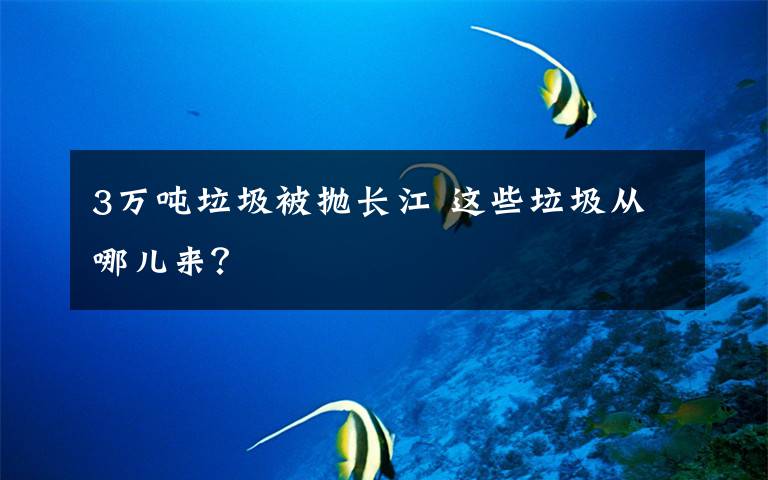 3万吨垃圾被抛长江 这些垃圾从哪儿来？