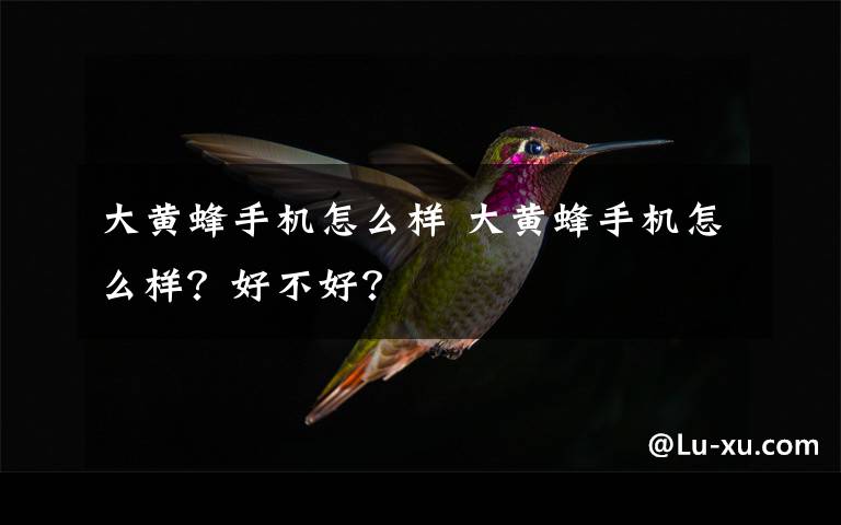 大黄蜂手机怎么样 大黄蜂手机怎么样？好不好？