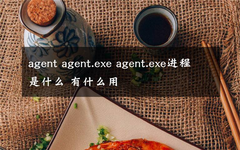 agent agent.exe agent.exe进程是什么 有什么用