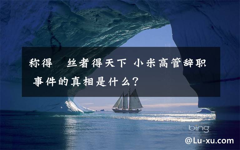 称得屌丝者得天下 小米高管辞职 事件的真相是什么？