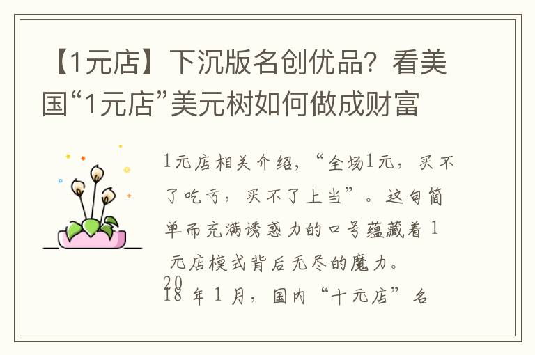 【1元店】下沉版名创优品？看美国“1元店”美元树如何做成财富 500 强企业