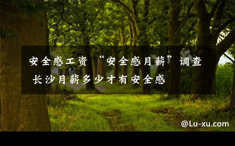 安全感工资 “安全感月薪”调查 长沙月薪多少才有安全感