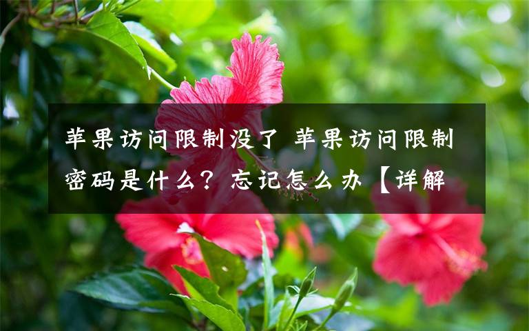 苹果访问限制没了 苹果访问限制密码是什么？忘记怎么办【详解】
