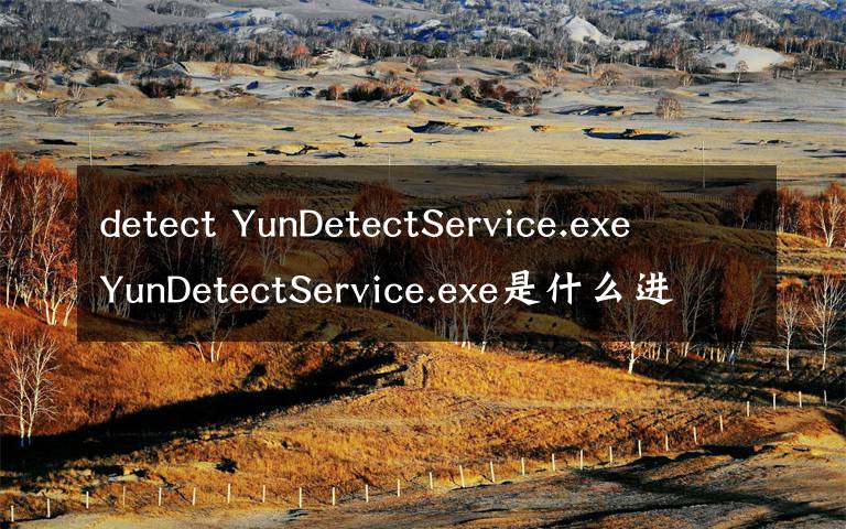 detect YunDetectService.exe YunDetectService.exe是什么进程 有什么用