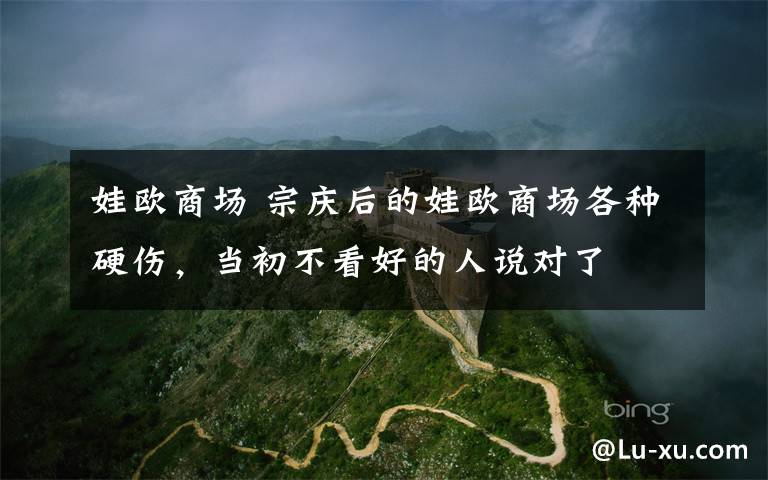 娃欧商场 宗庆后的娃欧商场各种硬伤，当初不看好的人说对了
