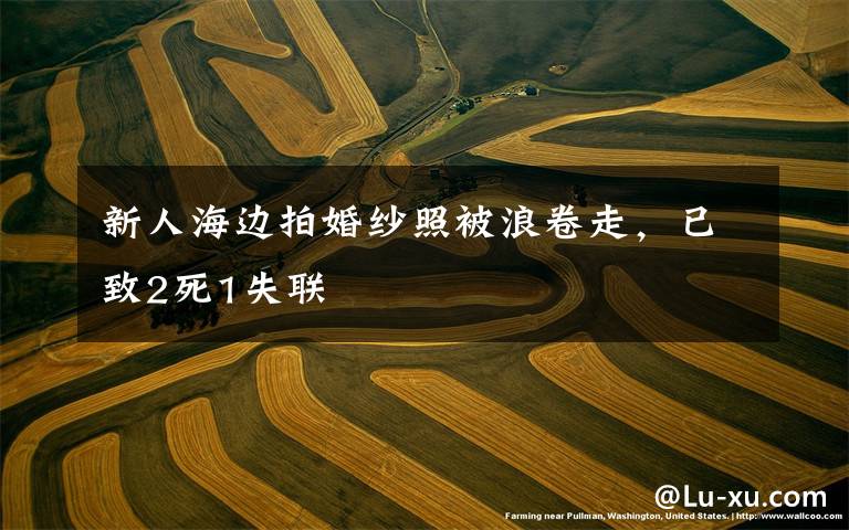 新人海边拍婚纱照被浪卷走，已致2死1失联