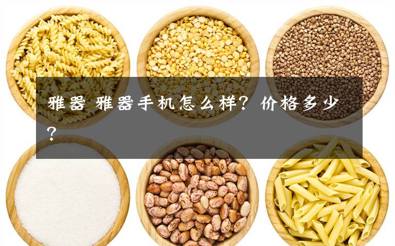 雅器 雅器手机怎么样？价格多少？