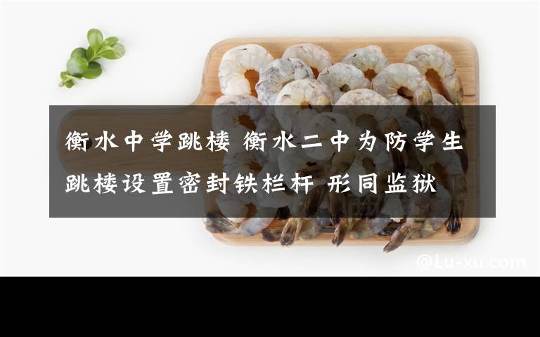 衡水中学跳楼 衡水二中为防学生跳楼设置密封铁栏杆 形同监狱