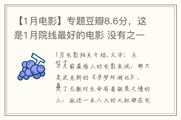 【1月电影】专题豆瓣8.6分，这是1月院线最好的电影 没有之一！