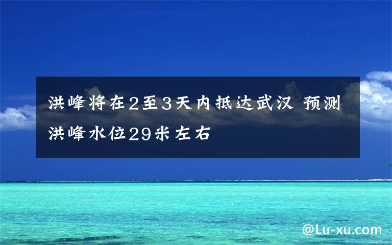 洪峰将在2至3天内抵达武汉 预测洪峰水位29米左右