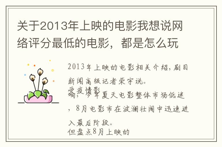 关于2013年上映的电影我想说网络评分最低的电影，都是怎么玩砸的