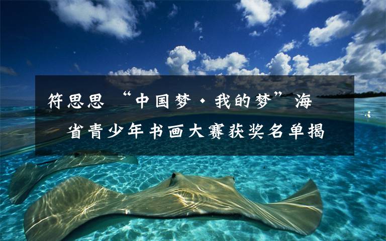 符思思 “中国梦·我的梦”海南省青少年书画大赛获奖名单揭晓