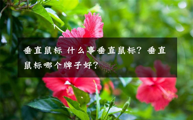 垂直鼠标 什么事垂直鼠标？垂直鼠标哪个牌子好？