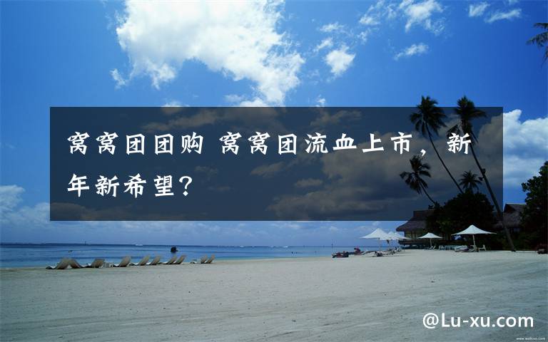 窝窝团团购 窝窝团流血上市，新年新希望？