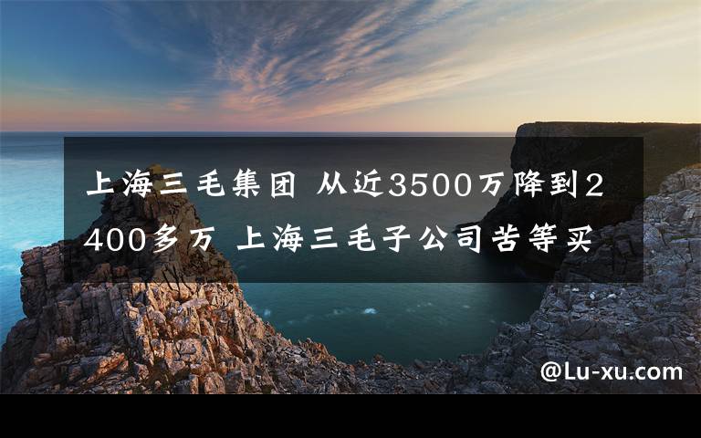 上海三毛集团 从近3500万降到2400多万 上海三毛子公司苦等买主