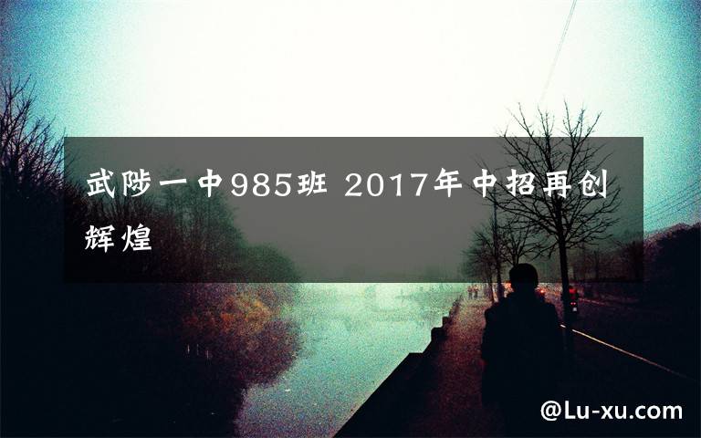 武陟一中985班 2017年中招再创辉煌
