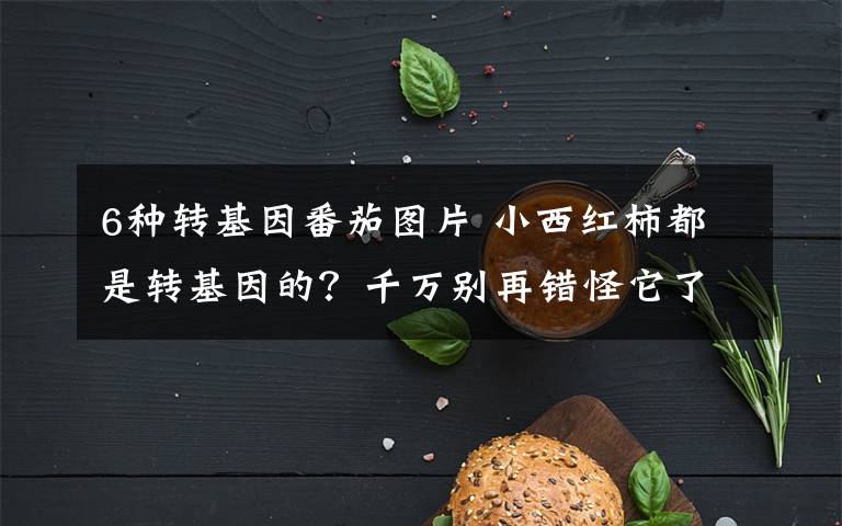 6种转基因番茄图片 小西红柿都是转基因的？千万别再错怪它了！