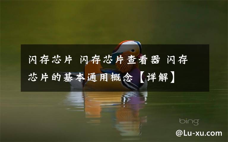 闪存芯片 闪存芯片查看器 闪存芯片的基本通用概念【详解】