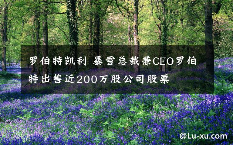 罗伯特凯利 暴雪总裁兼CEO罗伯特出售近200万股公司股票