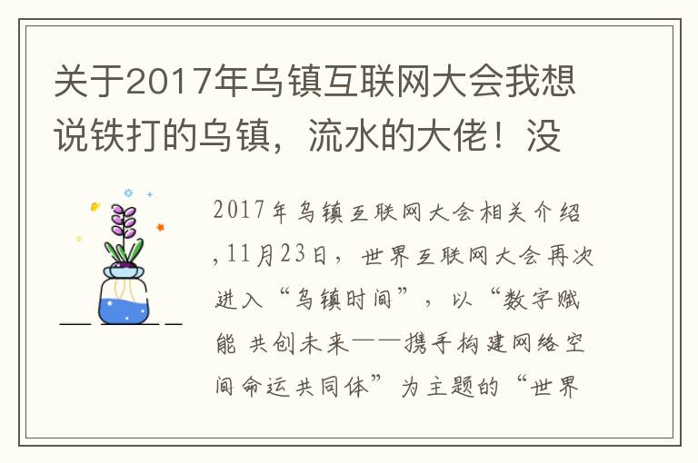 关于2017年乌镇互联网大会我想说铁打的乌镇，流水的大佬！没有了高调的饭局，互联网大会在干啥