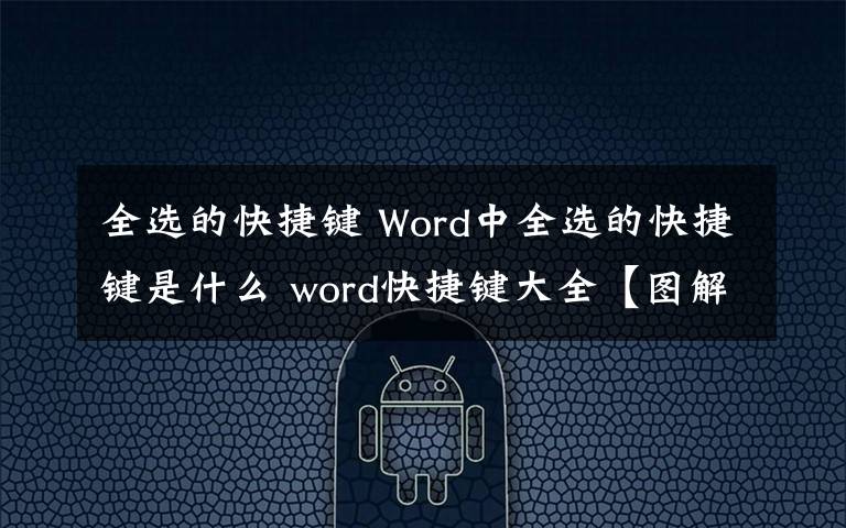 全选的快捷键 Word中全选的快捷键是什么 word快捷键大全【图解】