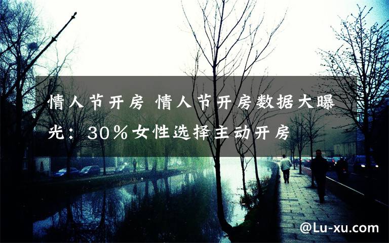 情人节开房 情人节开房数据大曝光：30％女性选择主动开房