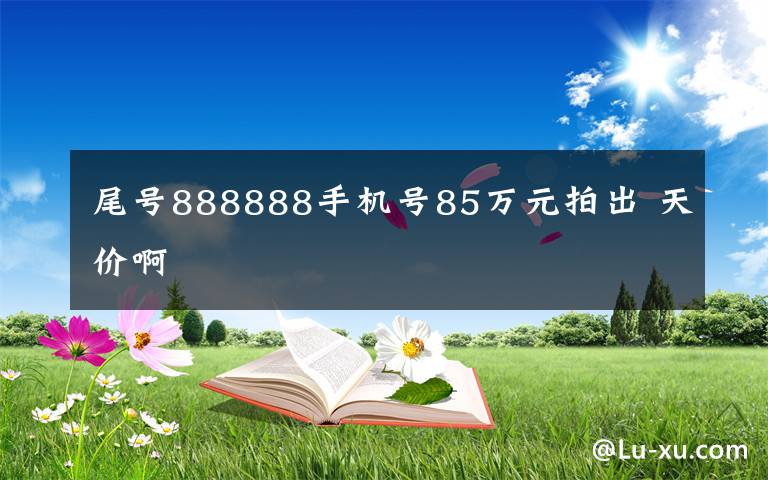 尾号888888手机号85万元拍出 天价啊