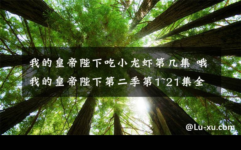 我的皇帝陛下吃小龙虾第几集 哦我的皇帝陛下第二季第1~21集全集分集剧情 哦我的皇帝陛下2大结局