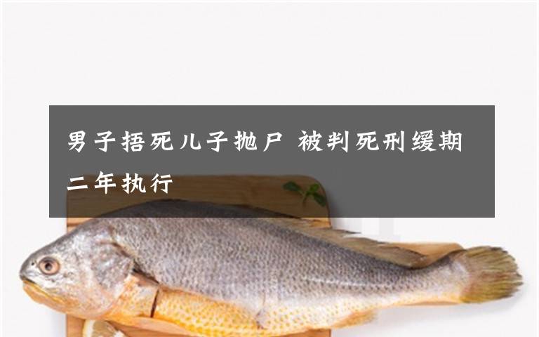男子捂死儿子抛尸 被判死刑缓期二年执行