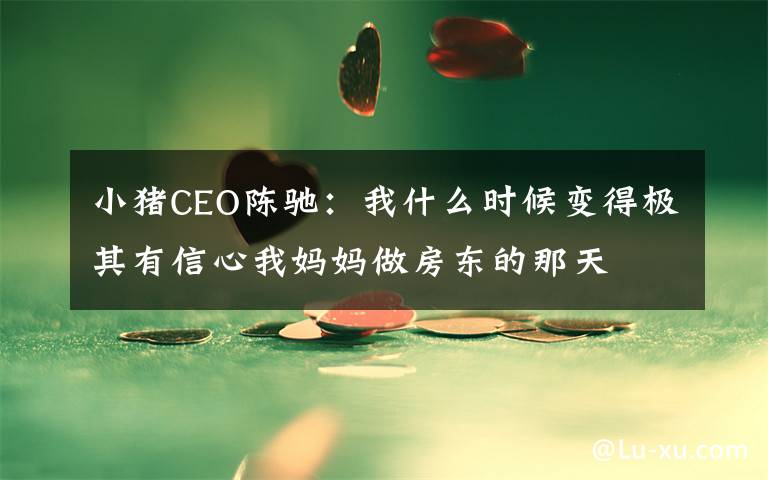 小猪CEO陈驰：我什么时候变得极其有信心我妈妈做房东的那天