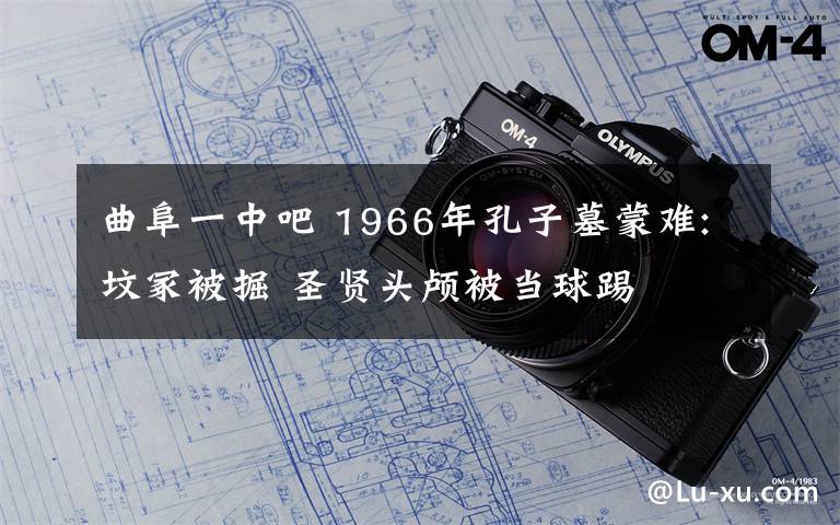 曲阜一中吧 1966年孔子墓蒙难:坟冢被掘 圣贤头颅被当球踢