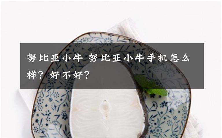 努比亚小牛 努比亚小牛手机怎么样？好不好？