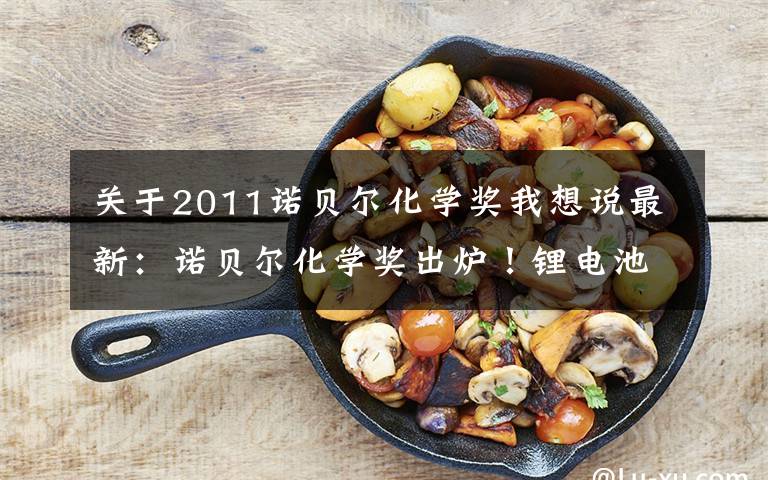 关于2011诺贝尔化学奖我想说最新：诺贝尔化学奖出炉！锂电池发明者获奖