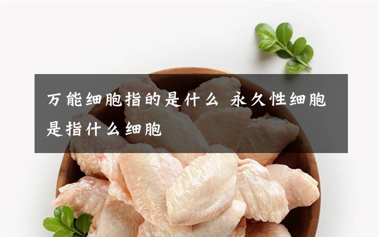 万能细胞指的是什么 永久性细胞是指什么细胞