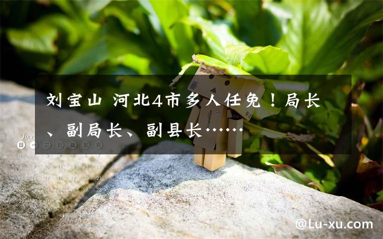 刘宝山 河北4市多人任免！局长、副局长、副县长……