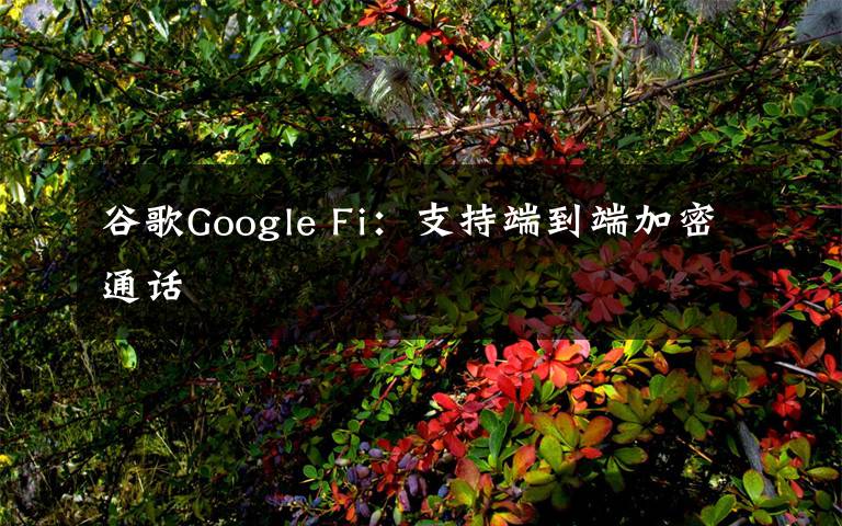 谷歌Google Fi：支持端到端加密通话