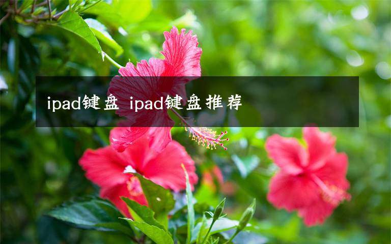 ipad键盘 ipad键盘推荐