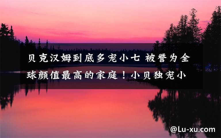 贝克汉姆到底多宠小七 被誉为全球颜值最高的家庭！小贝独宠小七
