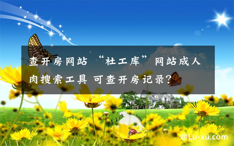 查开房网站 “社工库”网站成人肉搜索工具 可查开房记录？