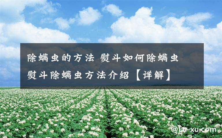 除螨虫的方法 熨斗如何除螨虫 熨斗除螨虫方法介绍【详解】