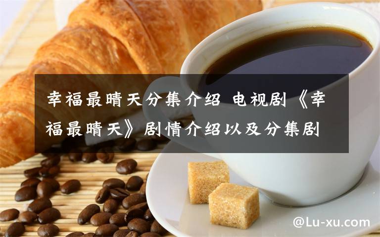 幸福最晴天分集介绍 电视剧《幸福最晴天》剧情介绍以及分集剧情介绍