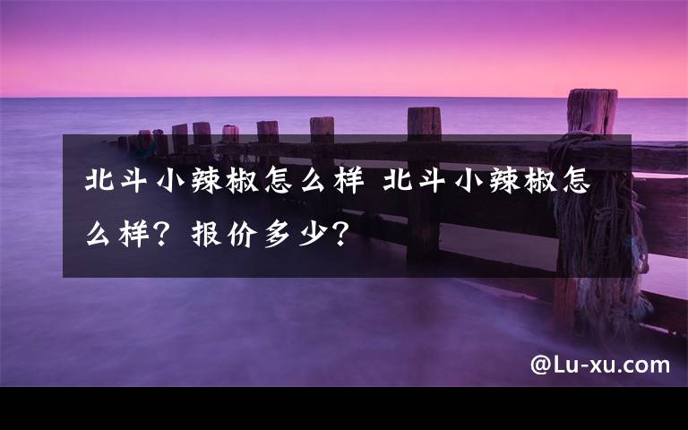 北斗小辣椒怎么样 北斗小辣椒怎么样？报价多少？