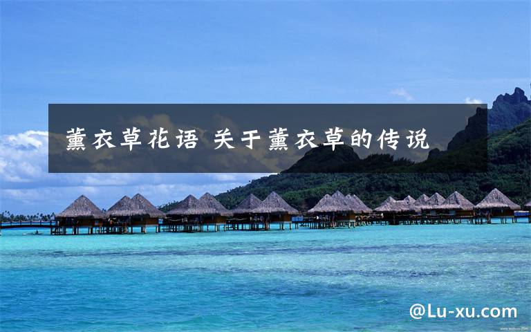 薰衣草花语 关于薰衣草的传说