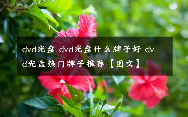 dvd光盘 dvd光盘什么牌子好 dvd光盘热门牌子推荐【图文】