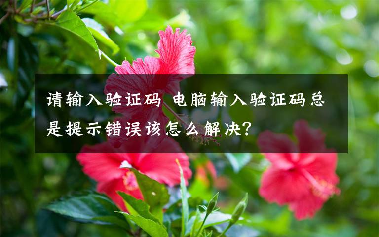 请输入验证码 电脑输入验证码总是提示错误该怎么解决？