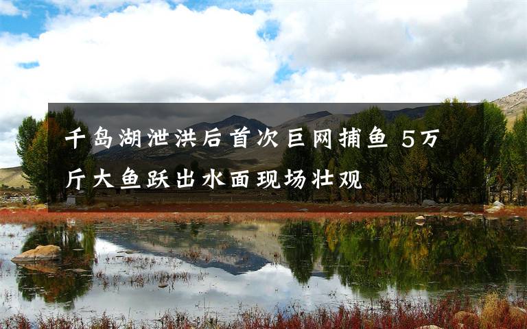 千岛湖泄洪后首次巨网捕鱼 5万斤大鱼跃出水面现场壮观